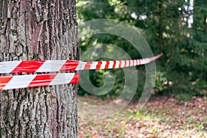 Red and white barrier tape, fenced off dangerous place or crime scene in the forest