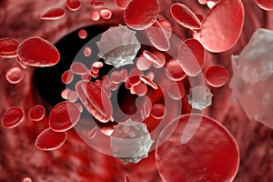 Red White Blood Cells 3D Illustration