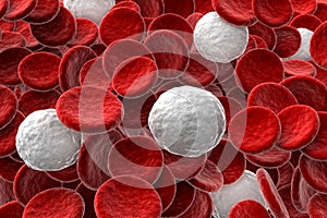 Red and white blood cells