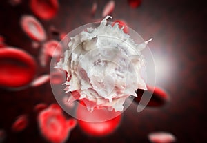 Red White Blood Cells photo