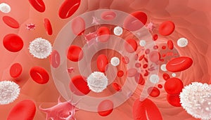 Red and white blood cells and platelets flowing through a vessel or a vein. Medical and microbiology illustration photo