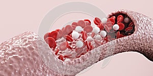 Red and White Blood Cells Vein Medicine science concept. 3d Render illustration