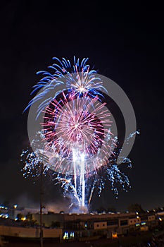 Red White and Blue Fireworks