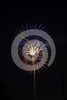 Red, white and blue fireworks against a black sky