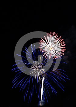 Red, White and Blue Fireworks