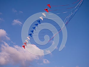 Red, white and blue kites