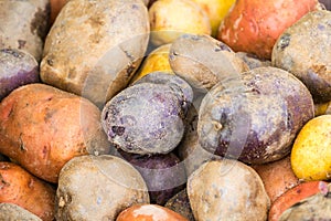 Red, White, and Blue Potatoes