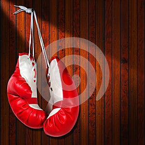 Red and White Boxing Gloves