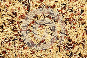 Red, White, Brown Wild Rice Mixed