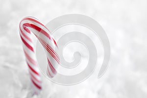 Red and White Candy Canes