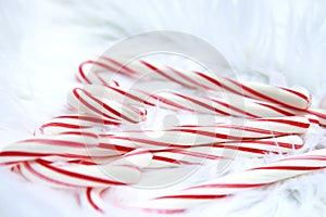 Red and White Candy Canes on Furry White Background