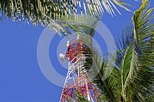 Red and white communication tower in palm trees. Radio mast on tropical island. Electric supply in South Asia.