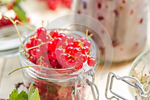 Red white currants gooseberries jars preparations