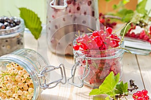 Red white currants gooseberries jars preparations