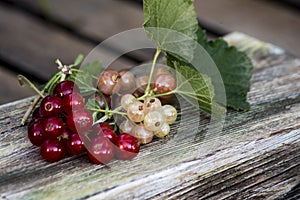 Red and white currants on wooden table