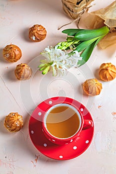 Red in white dotted cup of tea, profiteroles and hyacinths