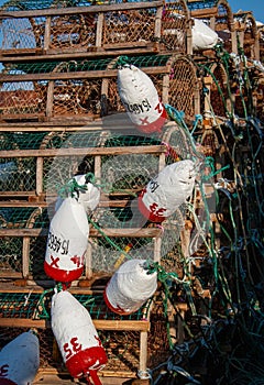 Red and white fishing buoys