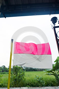 The red and white flag is made of plastic with a rice field background. Suitable for Indonesian big days such as Indonesian Indepe