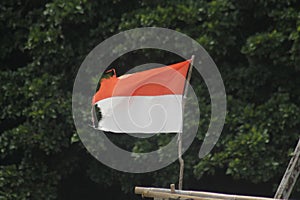 The red and white flag simbolis indonesian