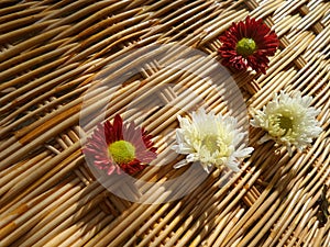 Red and white flowers on bamboo weaven wall