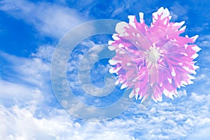 Red white Garden Dahlia flower and cloud sky stacking