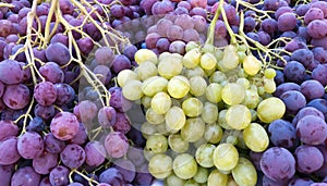 Red and white grapes