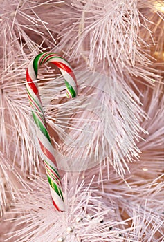 Red white and green striped candy cane hanging on white tree