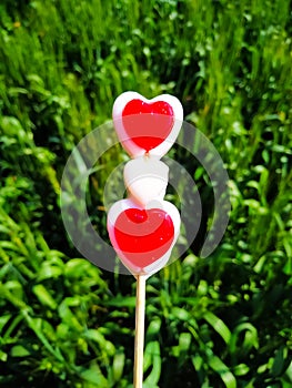 Red and white heart shape lollipop candy on a background of green leaves