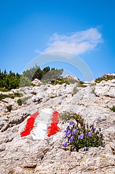 Red white hiking path marks and flowers on mountain Hochobir