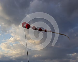 Kite flying on a cloudy sky background