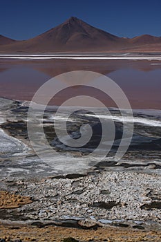 Red and White on Laguna Colorada