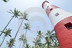 Red and white lighthouse surrounded by palm trees in India