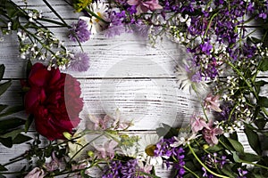 Red, white and lilac flowers on white wooden background, Flatley