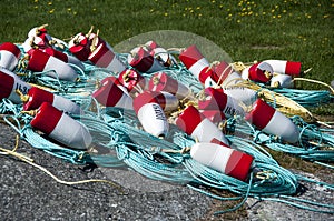 Red and White Lobster Buoys