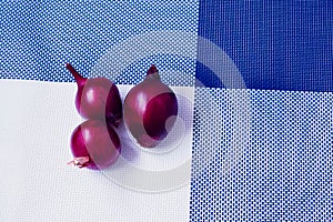 Red and white onion on a background divided into four parts