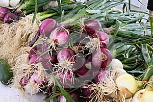 Red and White Onions