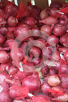 Red and white onions 2928