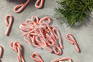 Red and White Peppermint Mini Candycanes