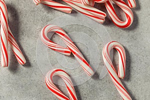 Red and White Peppermint Mini Candycanes