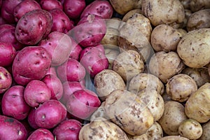 A Mixture of Red and White Potatoes