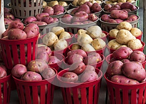 Red & White Potatoes for Sale