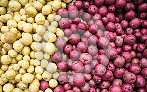 Red and white potatoes