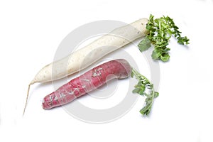 Red and white radishes