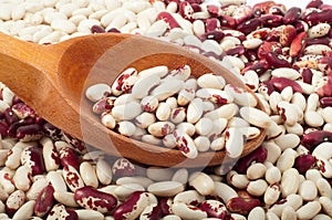 red and white raw beans with wooden spoon