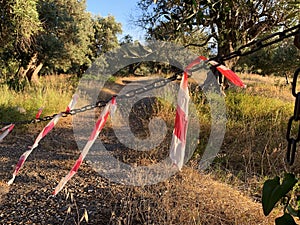 A red and white ribbon covering a passage in the forest. The passage is forbidden, plastic tape and an iron chain block the way