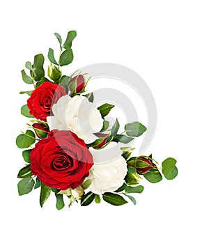 Red and white rose flowers with eucalyptus leaves in a corner ar