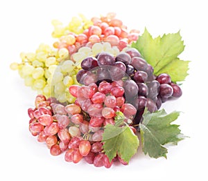 Red and white table grapes, wine grapes.