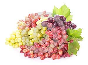 Red and white table grapes, wine grapes.