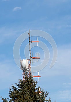 Red and white telecommunication antenna mast or mobile tower and spruce tree