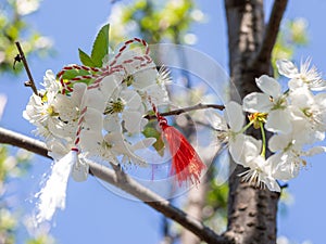 Red and white thread hanging on a blossoming tree branch first of march martisor martenitsa east europe balkan tradition